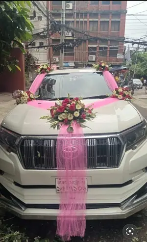 Prado For Rent