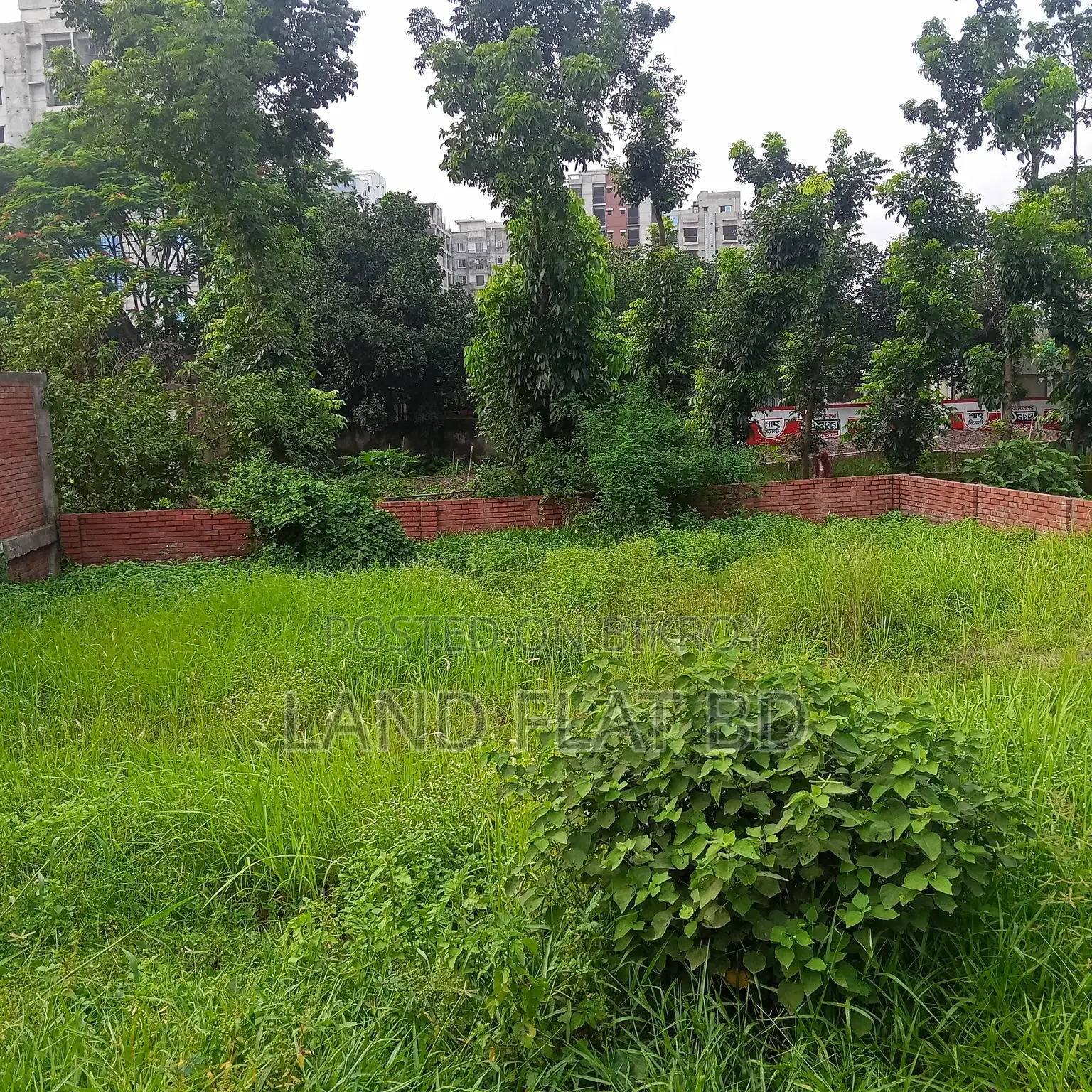 South-Facing 100% Ready-to-Build 3.66 Katha Plot for Sale
