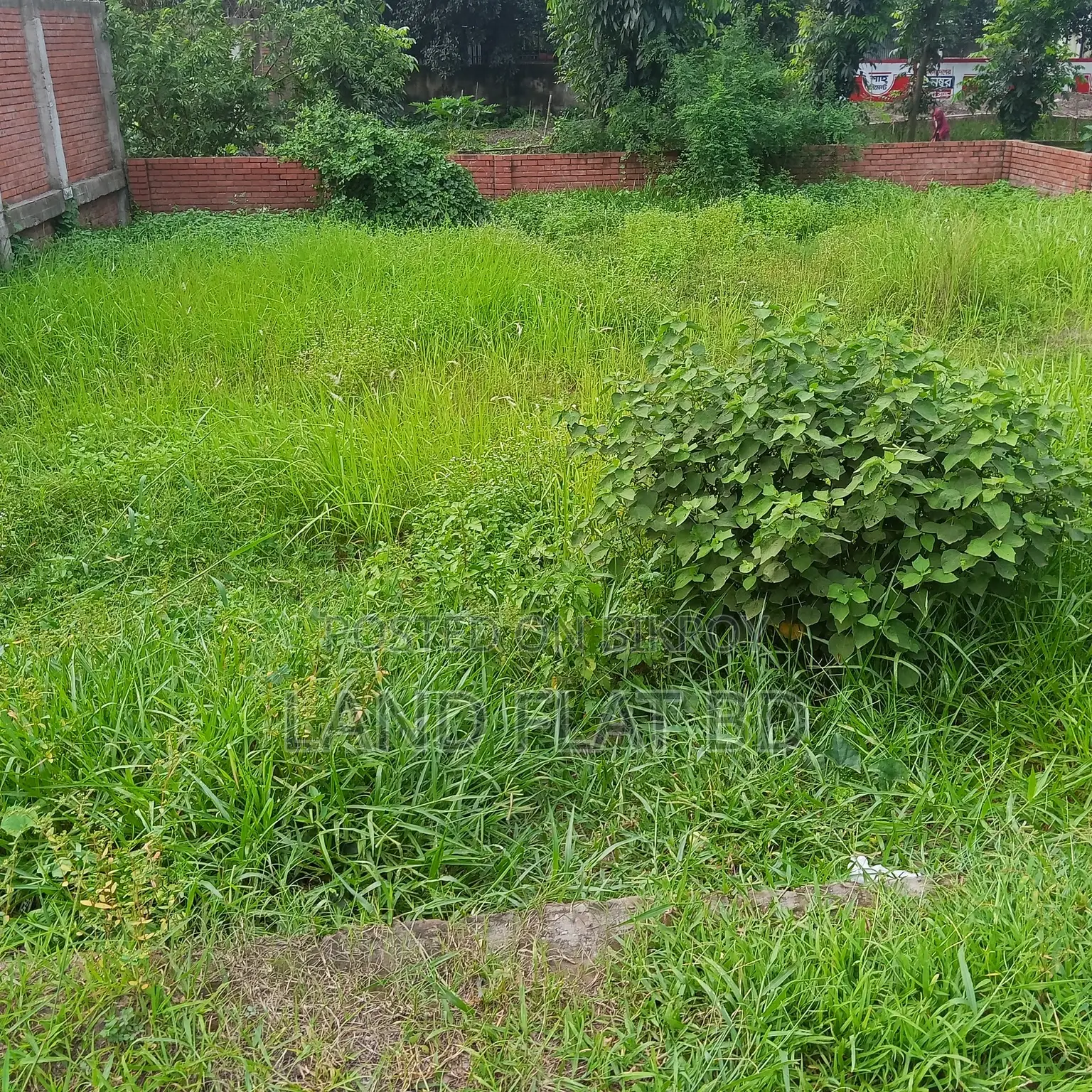 South-Facing 100% Ready-to-Build 3.66 Katha Plot for Sale