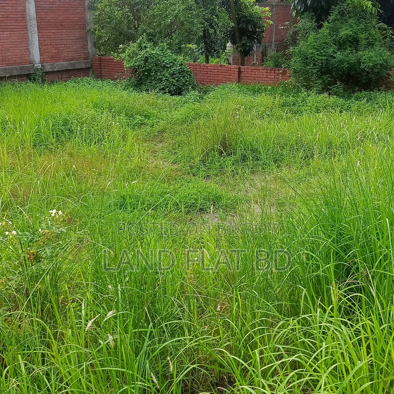 South-Facing 100% Ready-to-Build 3.66 Katha Plot for Sale
