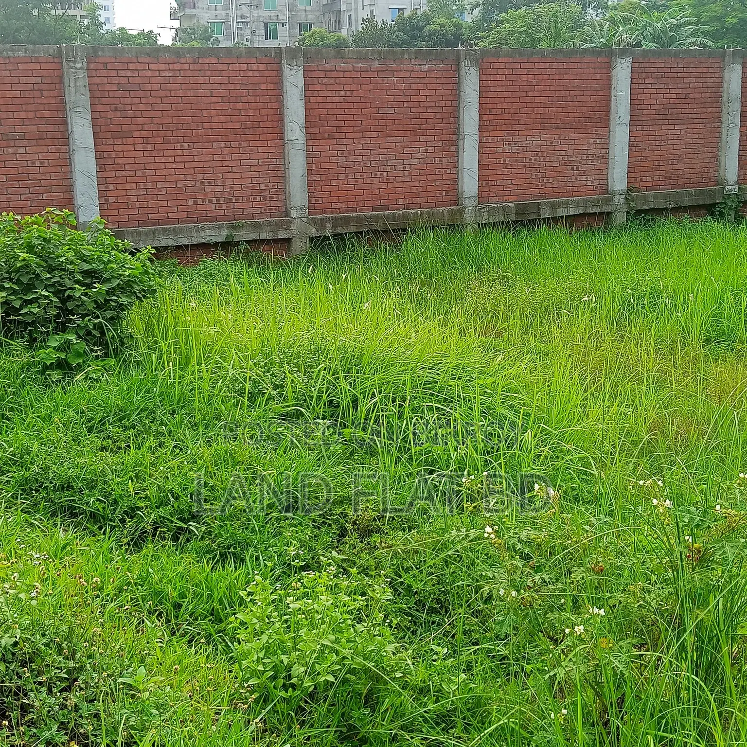 South-Facing 100% Ready-to-Build 3.66 Katha Plot for Sale