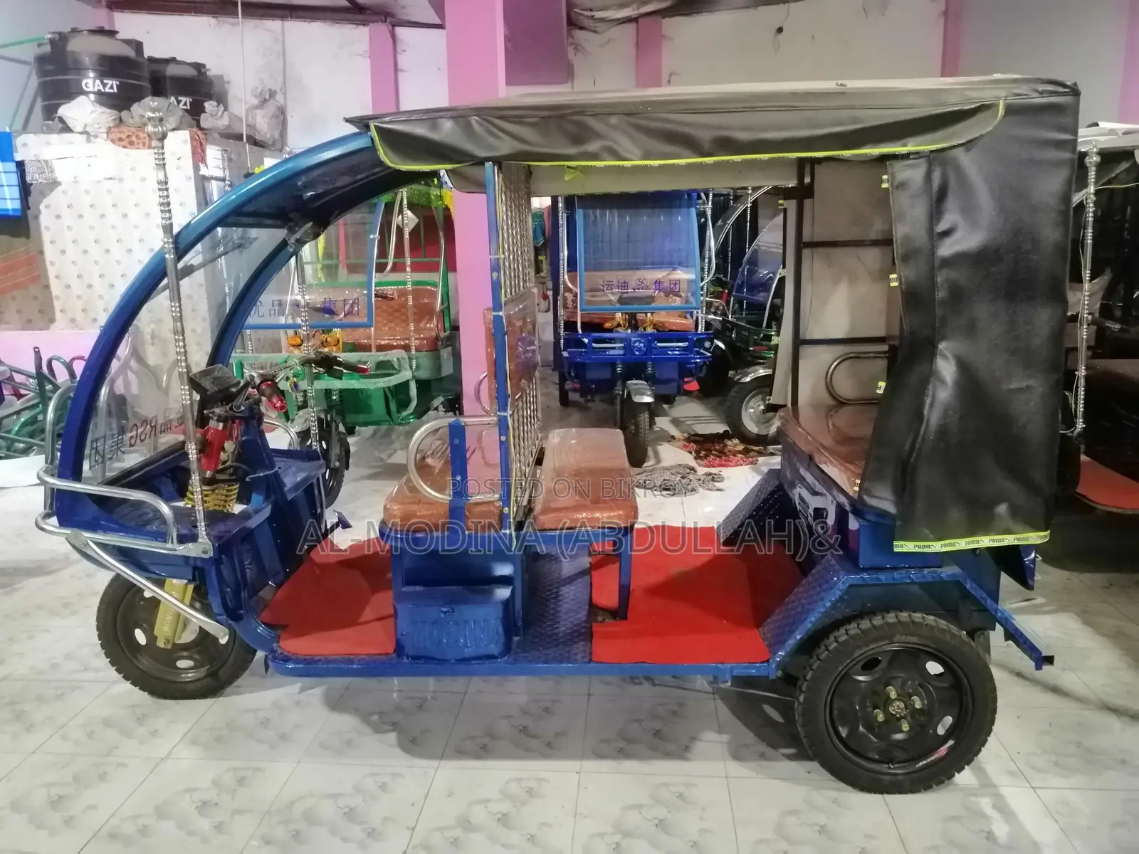 মডেল নাম্বার_ 819_মুভিং ইজিবাইক বোরাক-শো