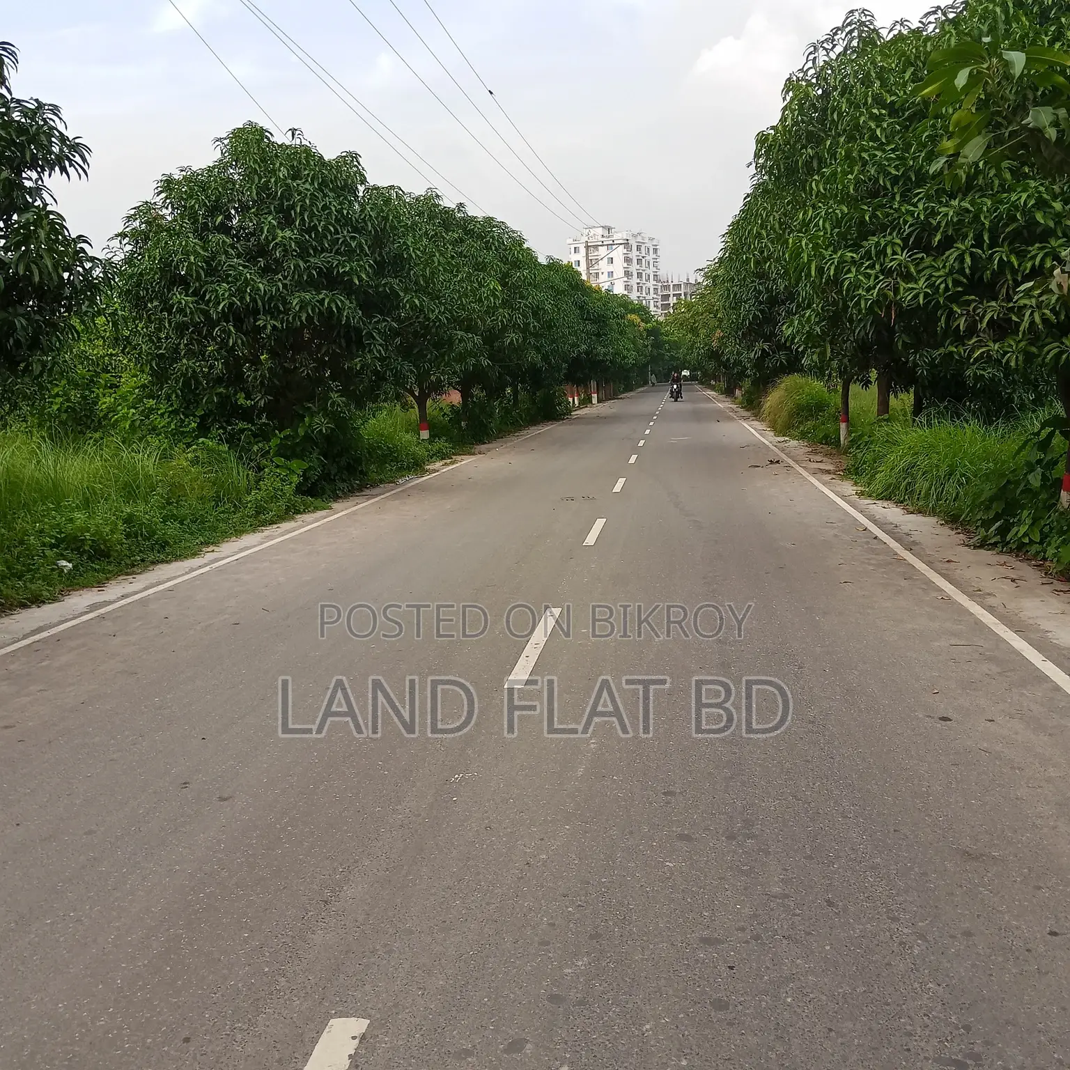 100% Ready-to-Build 3.15 Katha Plot for Sale