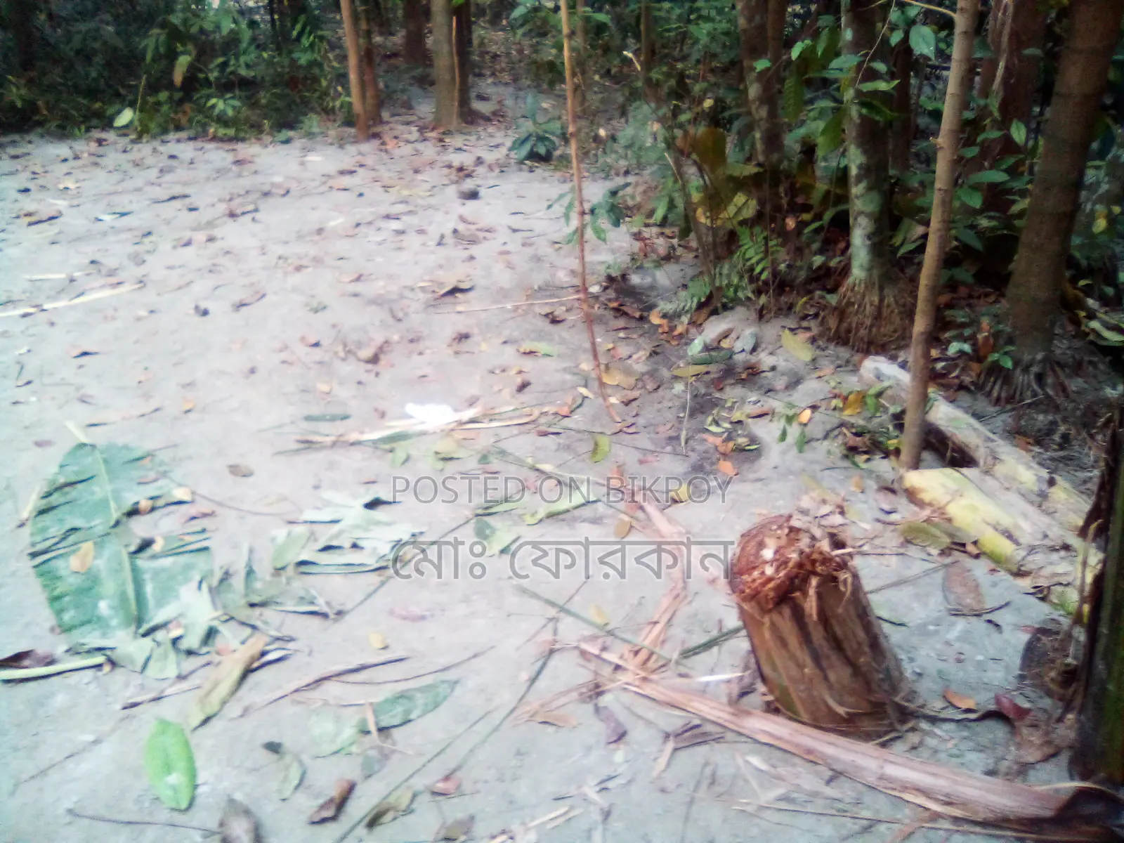 তিন শতাংশ জমি বিক্রয় করতে চাই