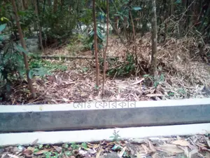 তিন শতাংশ জমি বিক্রয় করতে চাই