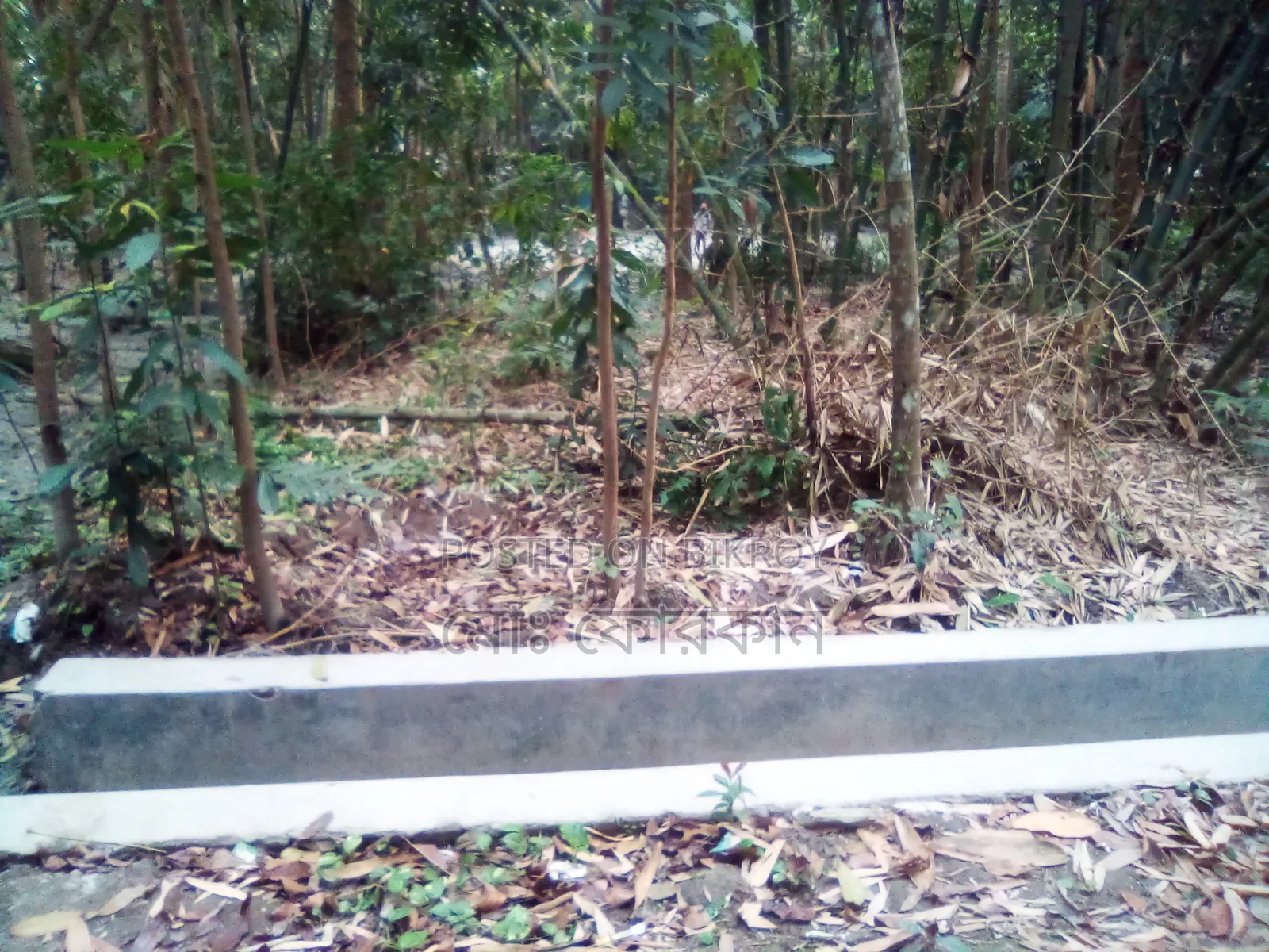 তিন শতাংশ জমি বিক্রয় করতে চাই