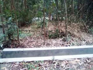 তিন শতাংশ জমি বিক্রয় করতে চাই
