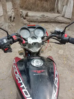 Yamaha Bike 2010