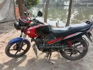 Yamaha Bike 2010
