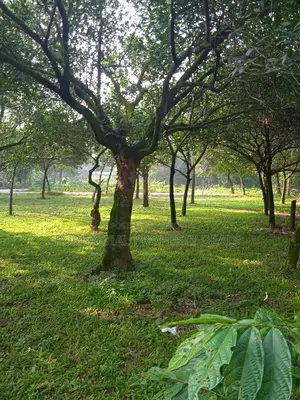 Purbachal Nature Estate — Where Luxury Meets Nature
