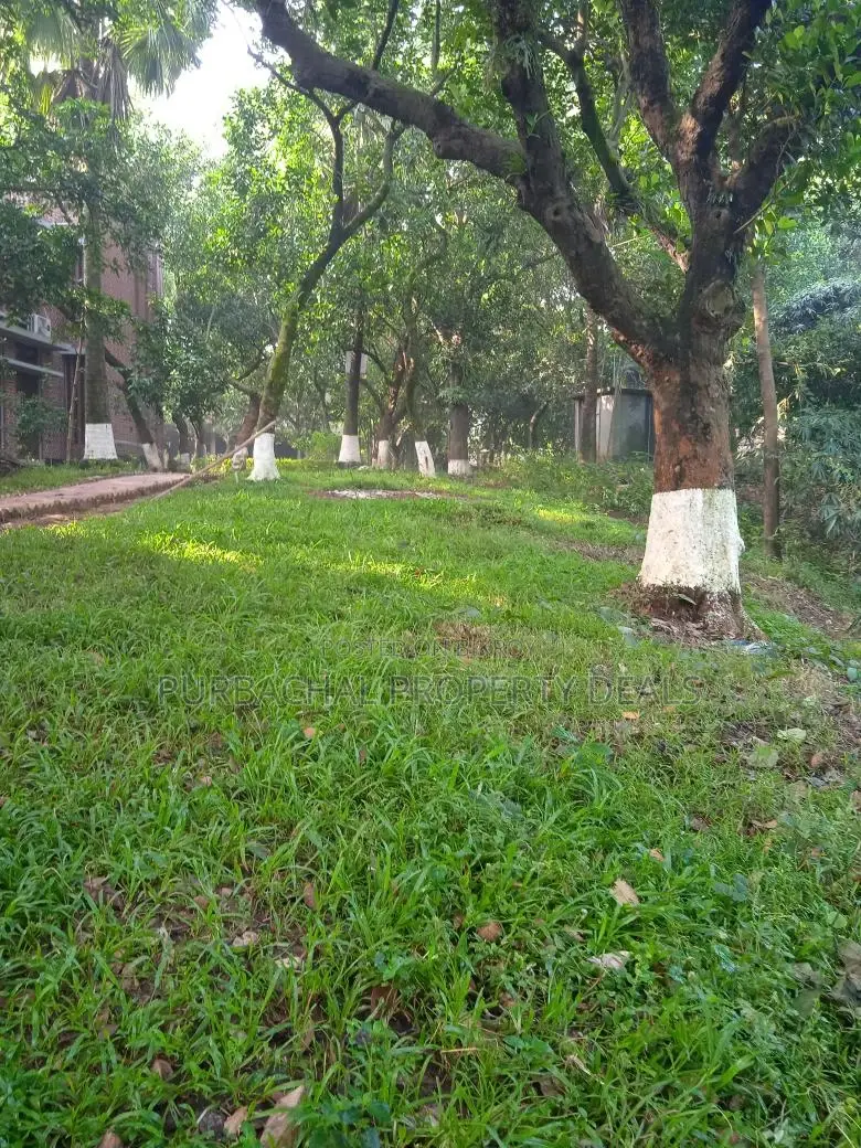 পূর্বাচল নেচার এস্টেট — যেখানে বিলাসিতা মিশেছে প্রকৃতির সাথে