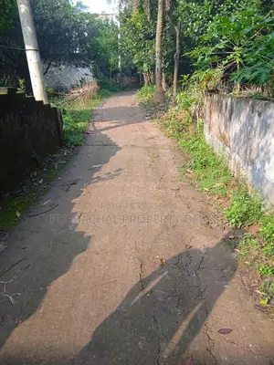 পূর্বাচল নেচার এস্টেট — যেখানে বিলাসিতা মিশেছে প্রকৃতির সাথে