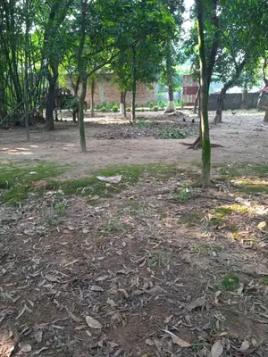 পূর্বাচল নেচার এস্টেট — যেখানে বিলাসিতা মিশেছে প্রকৃতির সাথে