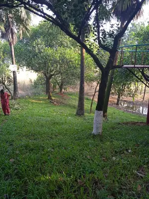 পূর্বাচল নেচার এস্টেট — যেখানে বিলাসিতা মিশেছে প্রকৃতির সাথে