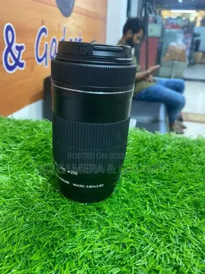 Canon 55-250 is stm zoom lens