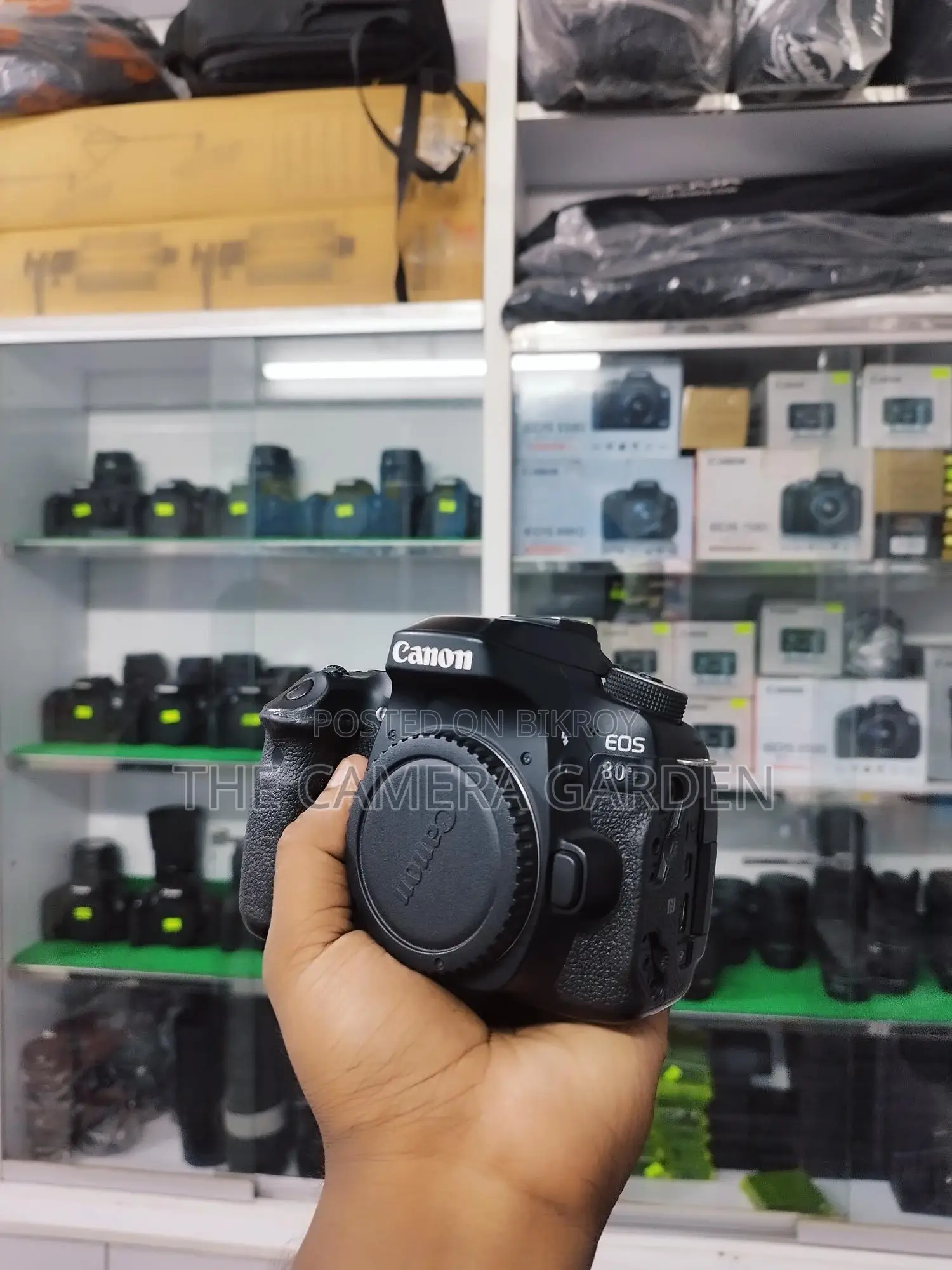 canon 80d body