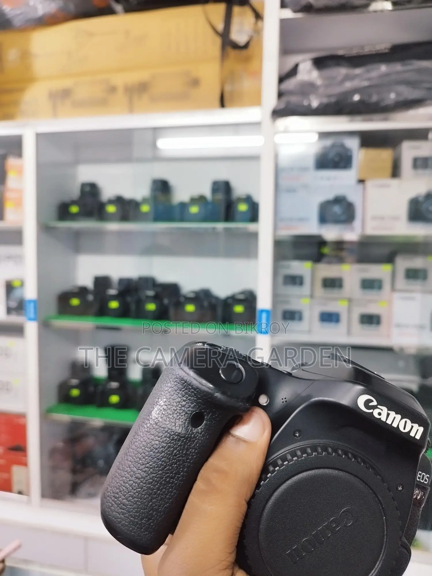 canon 80d body