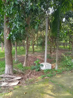 Premium 7.5 Bigha Garden Estate – Select Investment, Gazipur