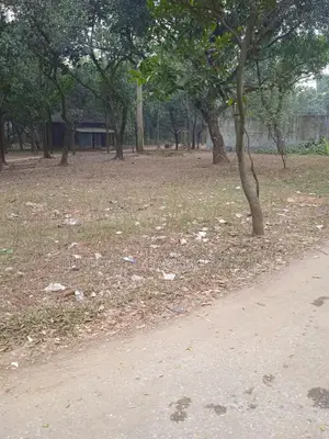 13 Decimal Premium Land for Sale Near Purbachal Sector – Safe Investment