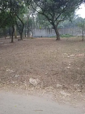 13 Decimal Premium Land for Sale Near Purbachal Sector – Safe Investment