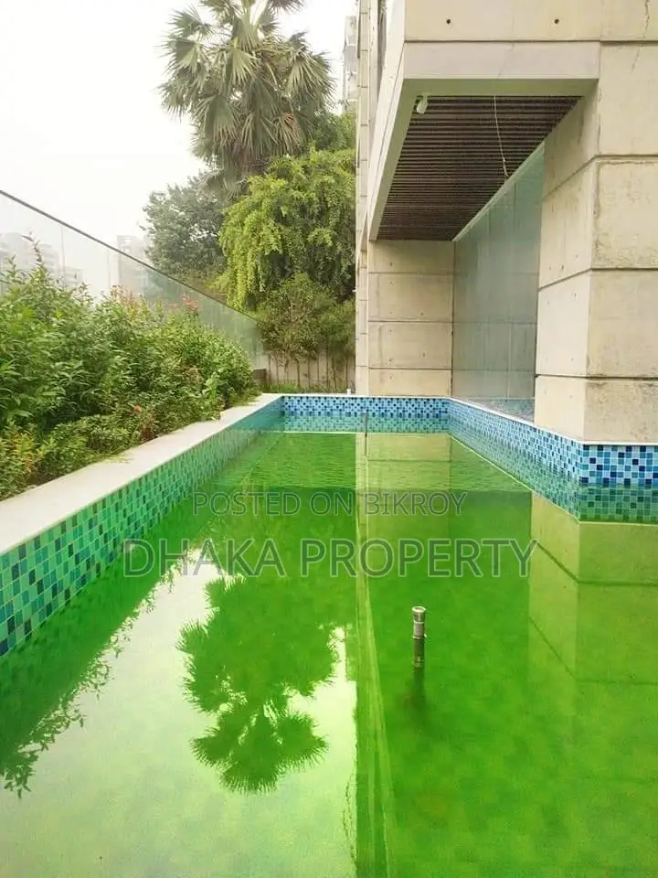 (Swimming pool -Gym) Luxurious Apartment Rent in Gulshan North