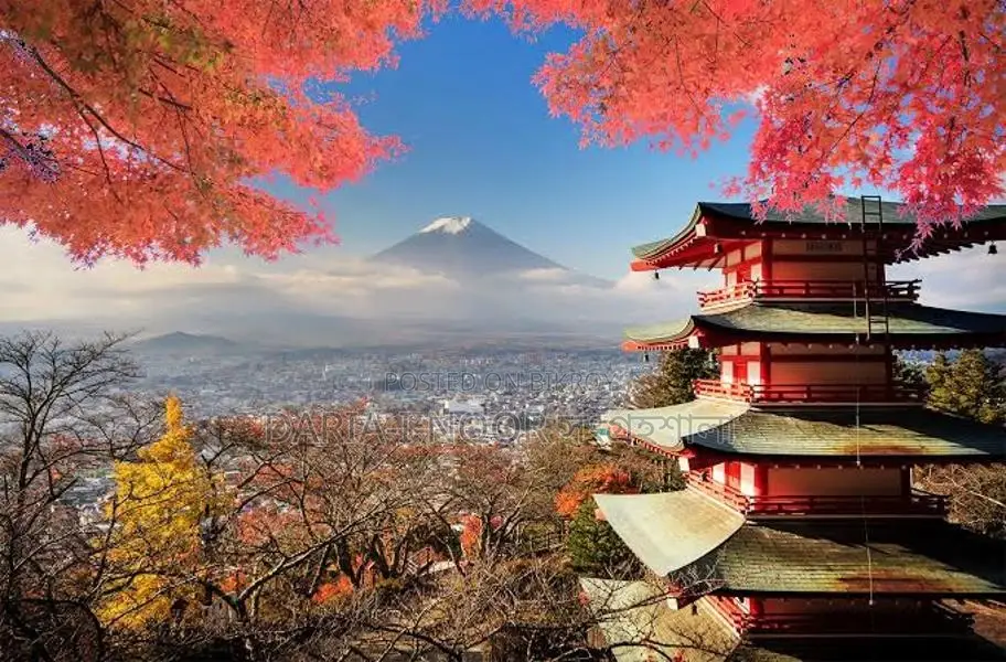 Opportunity for higher education in Japan after HSC with a one-time investment of 1 Lakh