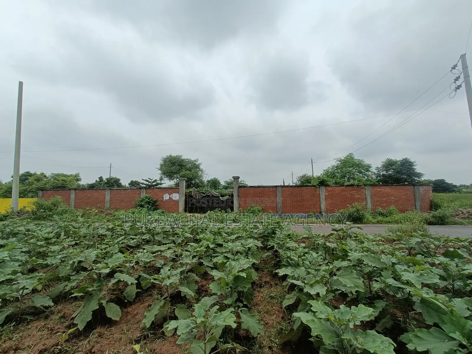 Nearby 150ft, South Face, 3 Katha Plot In Sec#25