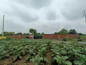 Nearby 150ft, South Face, 3 Katha Plot In Sec#25