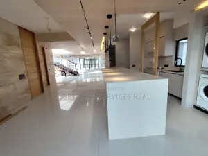Duplex Luxurious Brand New Apartment for Rent with Swimming Pool and Gym