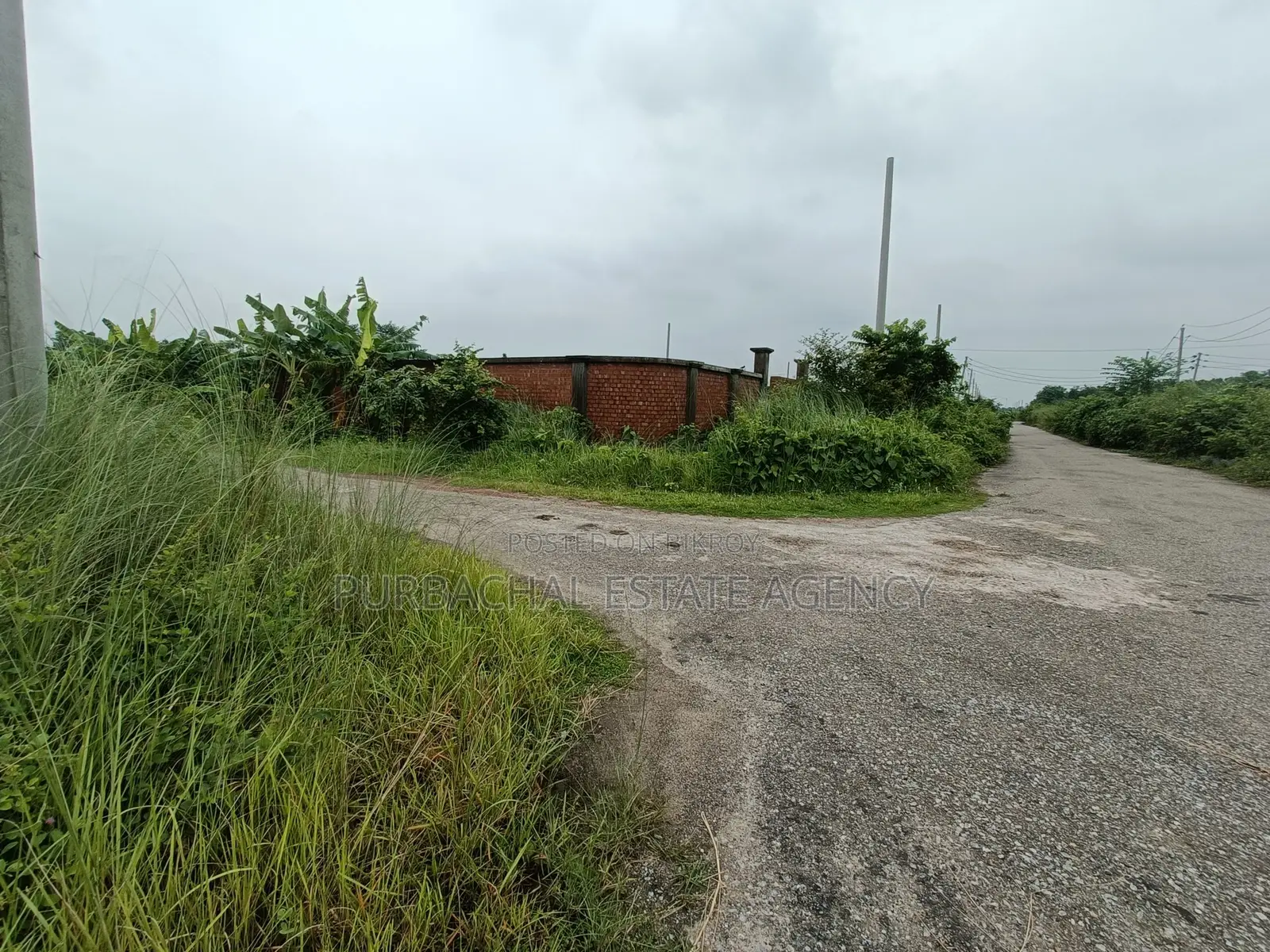 প্লে-লটের কাছে, দক্ষিণ-পশ্চিম কোণ, সেক্টর ২৩-এ ৩ কাঠার প্লট