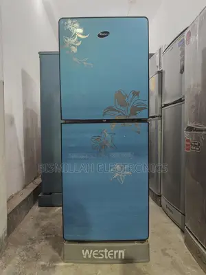 WESTERN 12 CFT glass door FRJ