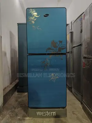 WESTERN 12 CFT glass door FRJ