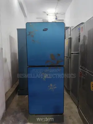 WESTERN 12 CFT glass door FRJ