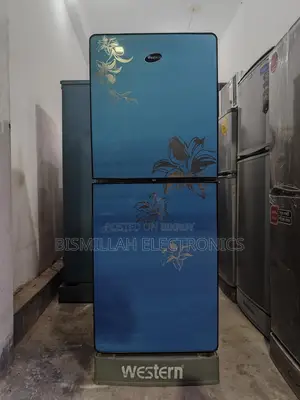 WESTERN 12 CFT glass door FRJ
