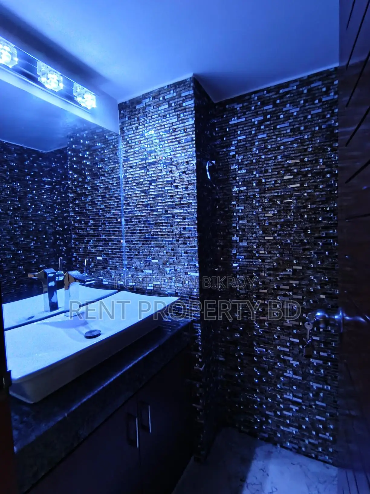 Luxury Duplex Fully Furnished Apartment Rent Banani