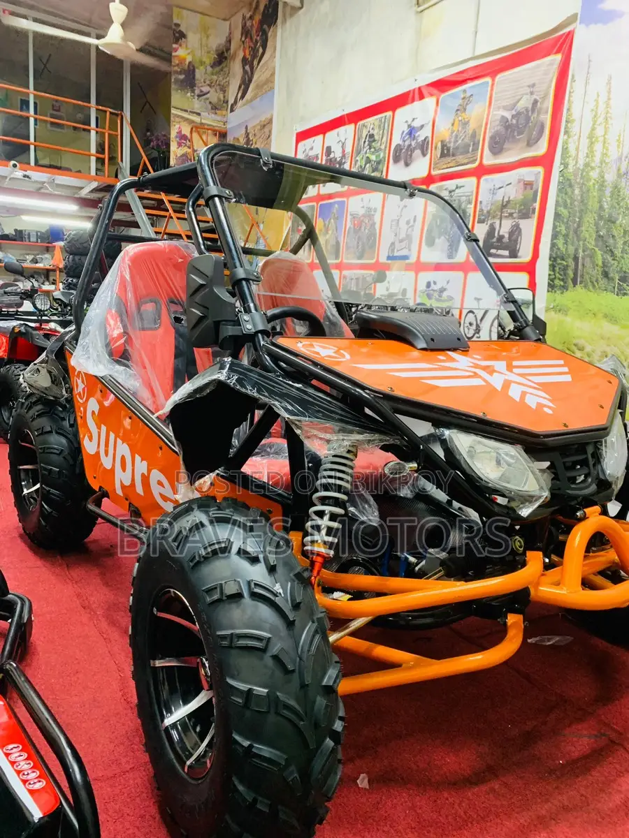 Zongshen Storm V250 Buggy For adults 2025