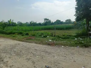 সেক্টর ১০-এ ৩০০ ফুটের কাছে, পূর্বমুখী ৫ কাঠার প্লট
