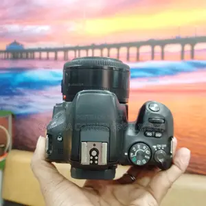 Canon 200D & yn50mm f1.8 lens