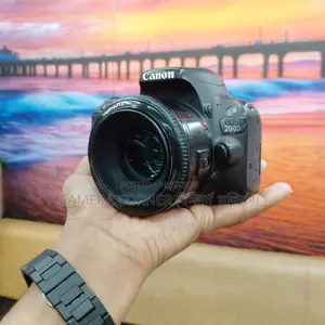 Canon 200D & yn50mm f1.8 lens
