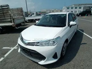 Toyota Axio Ex package-NonHybrid 2020