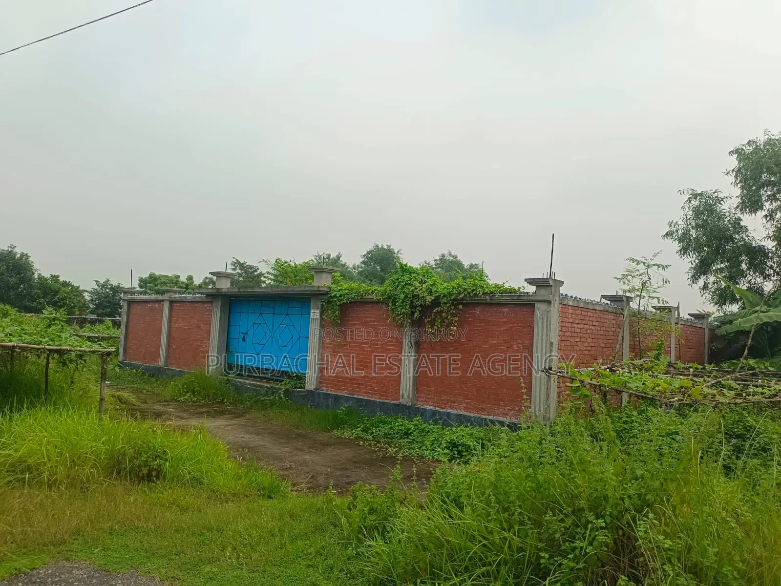 East Facing, 5 Katha Plot In Sec#23