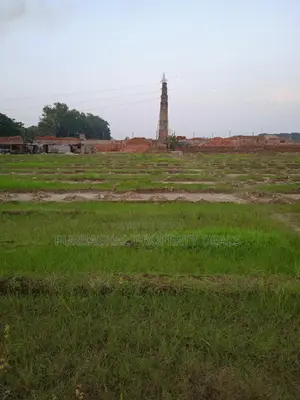 6 Bigha River-Adjacent Land for Sale Near Purbachal for Industry/Resort