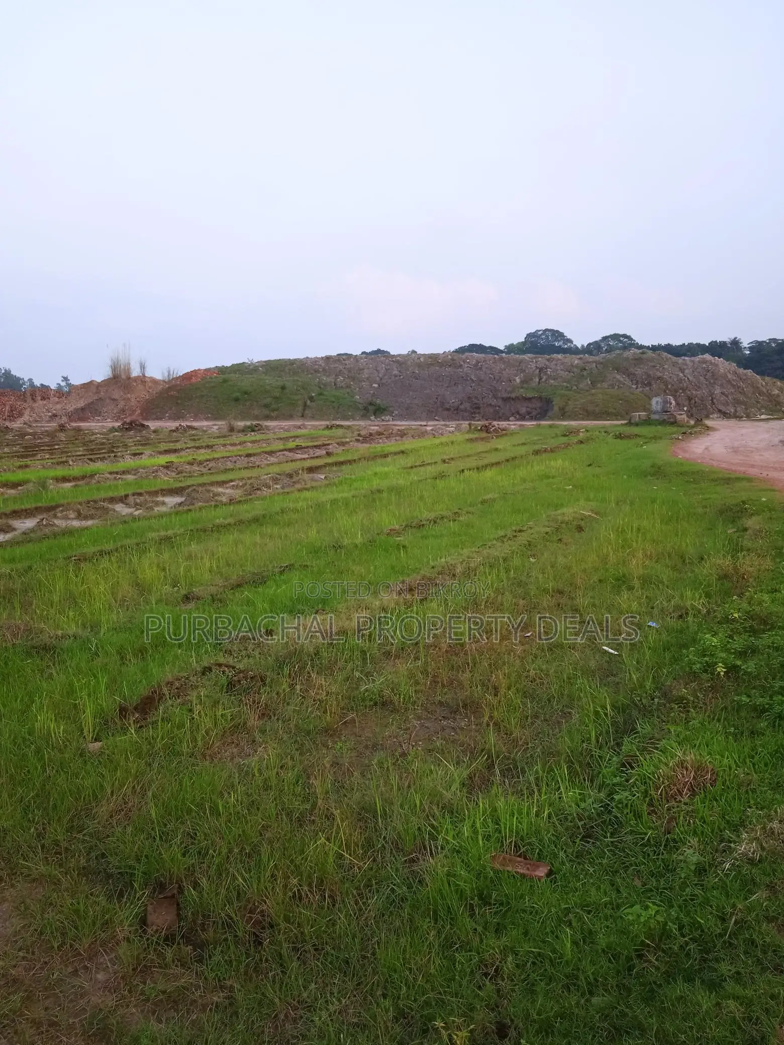 6 Bigha River-Adjacent Land for Sale Near Purbachal for Industry/Resort