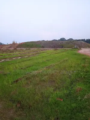 6 Bigha River-Adjacent Land for Sale Near Purbachal for Industry/Resort