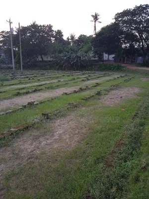 6 Bigha River-Adjacent Land for Sale Near Purbachal for Industry/Resort