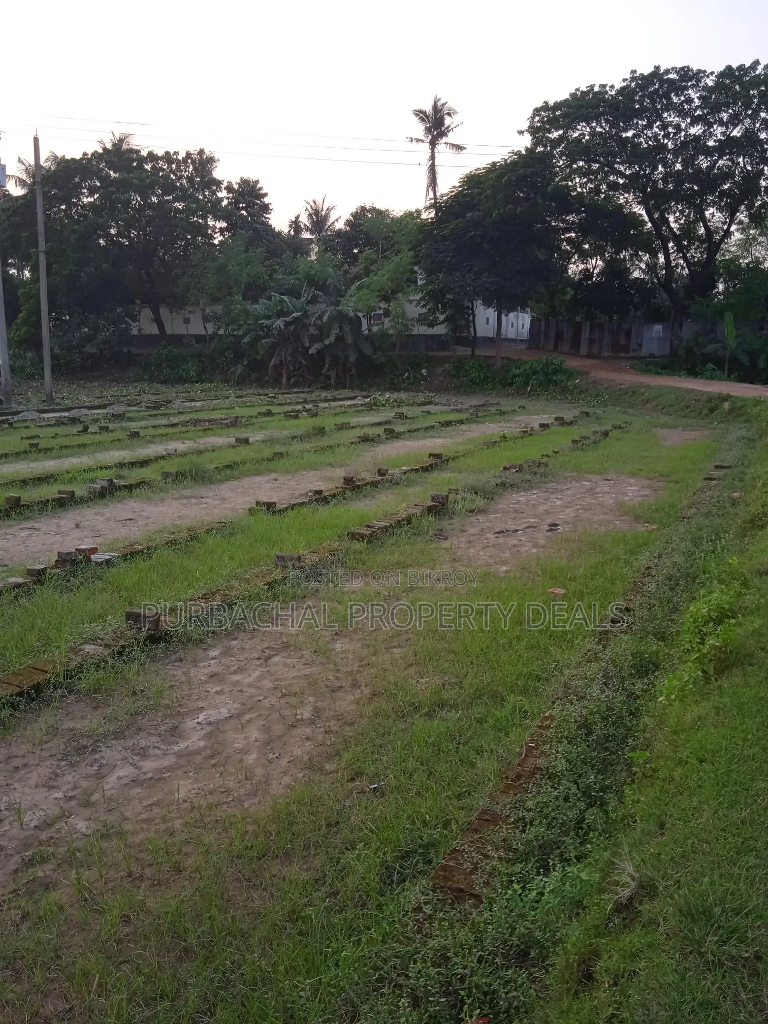 6 Bigha River-Adjacent Land for Sale Near Purbachal for Industry/Resort