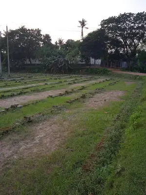 6 Bigha River-Adjacent Land for Sale Near Purbachal for Industry/Resort