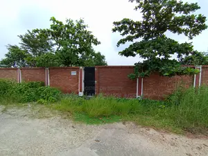 সেক্টর ২৪-এ ১০০ ফুট রাস্তার কাছে ৩ কাঠার প্লট