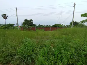 East Facing, 5 Katha Plot In Sec#25