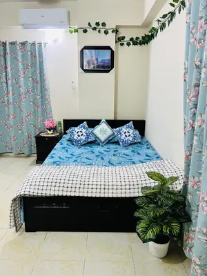 Full furnished apartment at Banasree(south)